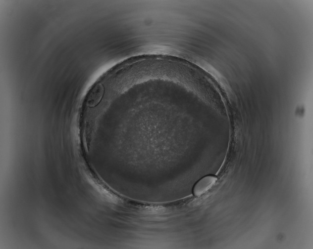 X0000101401120200807141150