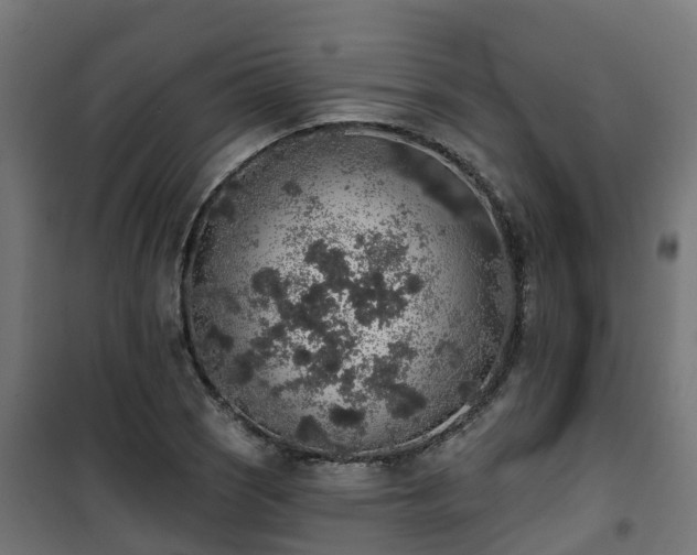 X0000101401121200807141150