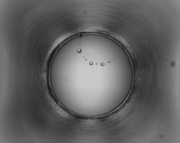 X0000101401122200807141150