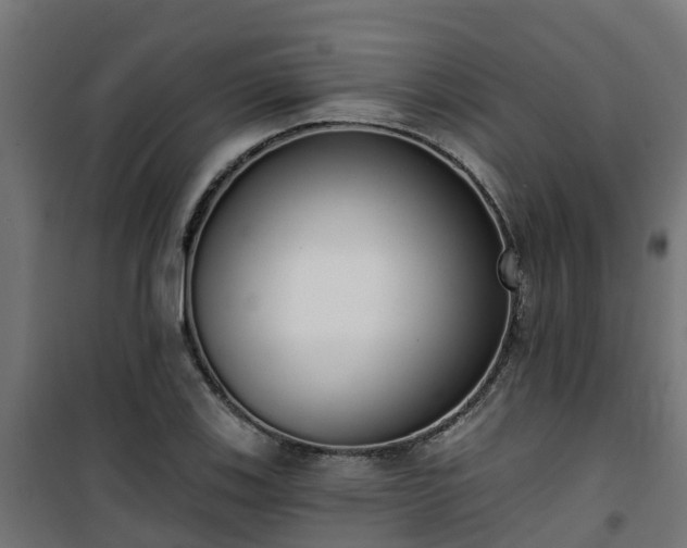 X0000101401123200807141150