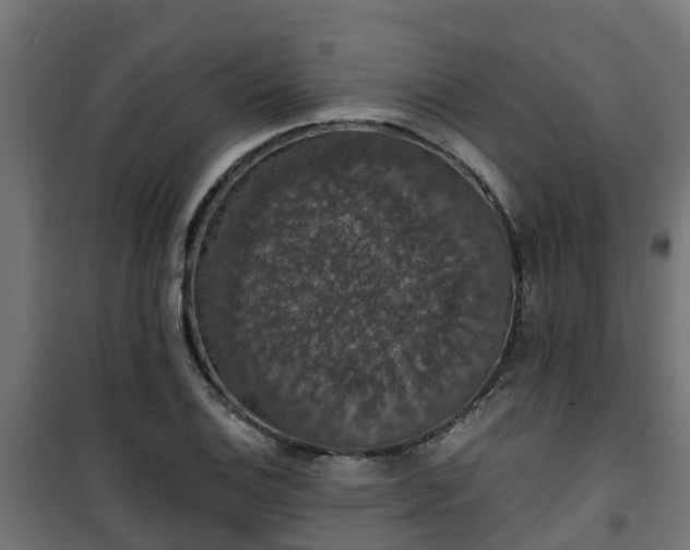 X0000101401124200807141150