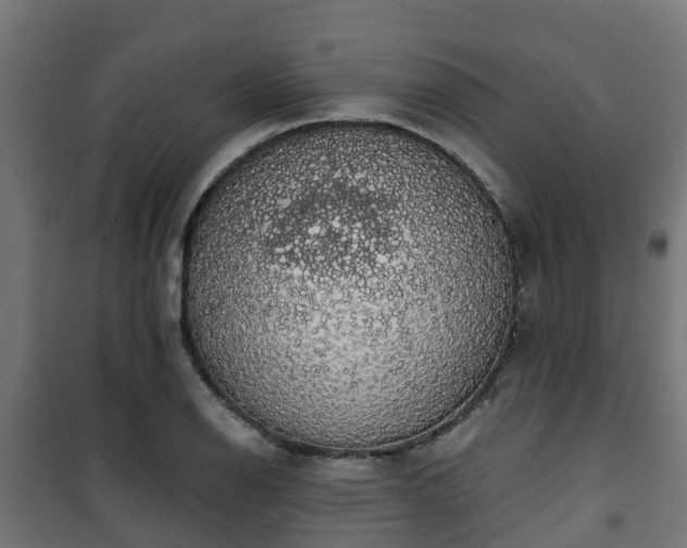 X0000101401126200807141150