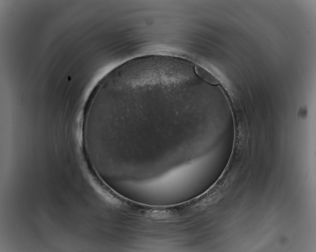 X0000101401128200807141150