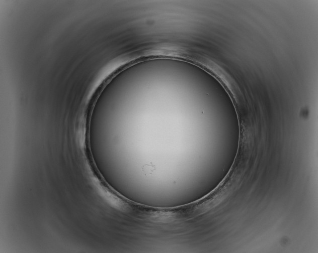 X0000101401131200807141150