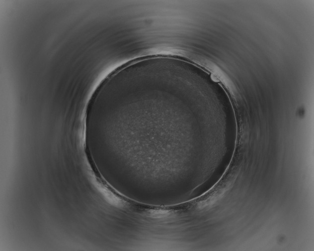 X0000101401132200807141150