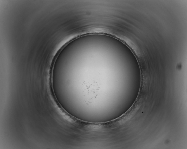 X0000101401134200807141150