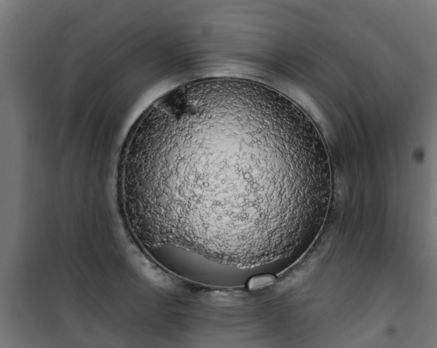 X0000101401138200807141150