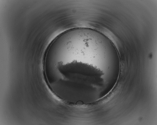 X0000101401141200807141150