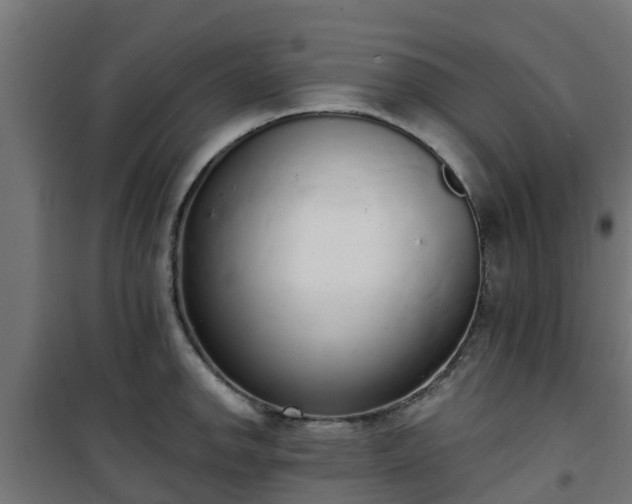 X0000101401142200807141150