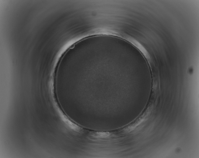 X0000101401144200807141150