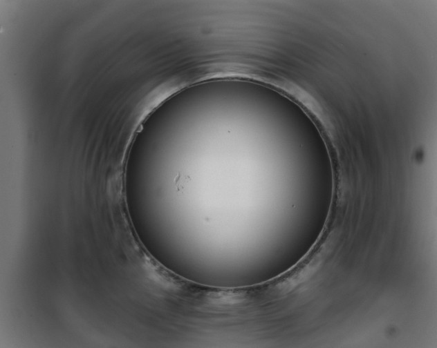 X0000101401145200807141150