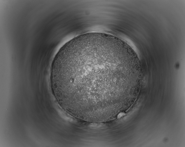 X0000101401146200807141150