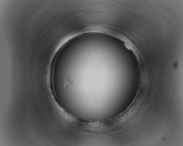 X0000101401147200807141150