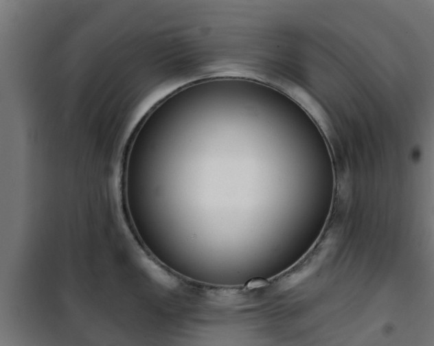 X0000101401149200807141150