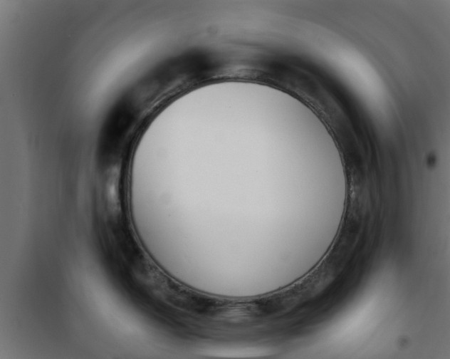 X0000101401150200807141150