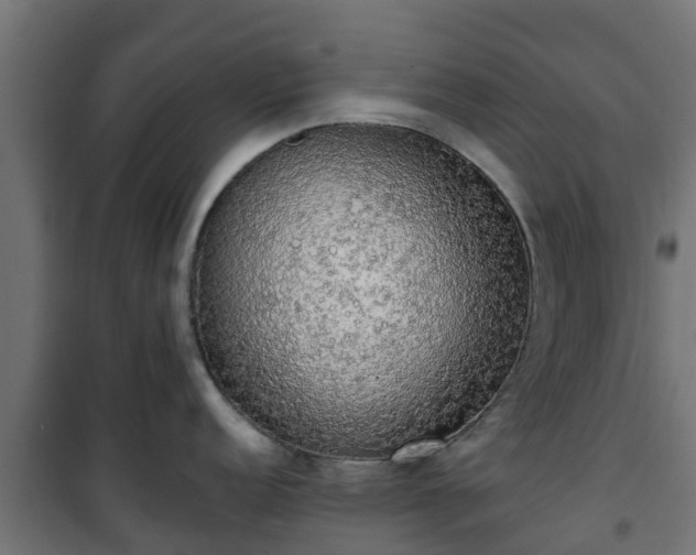 X0000101401152200807141150