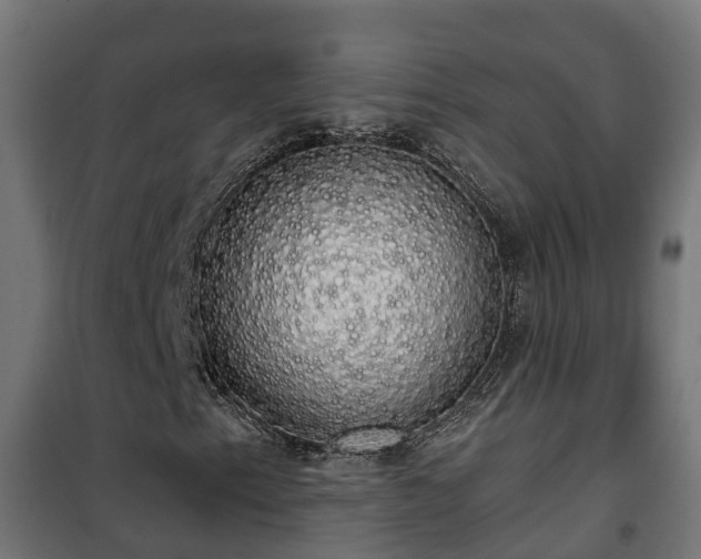 X0000101401153200807141150