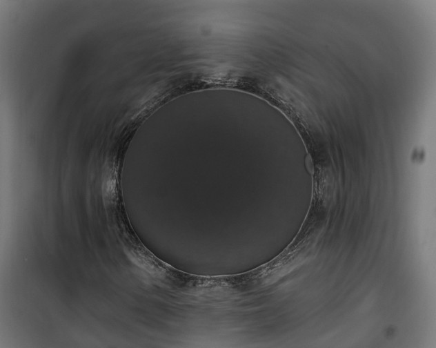 X0000101401154200807141150