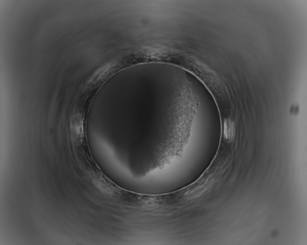 X0000101401155200807141150