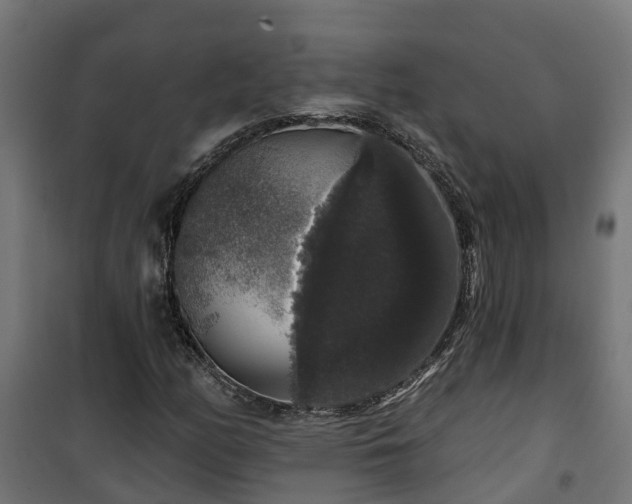 X0000101401158200807141150