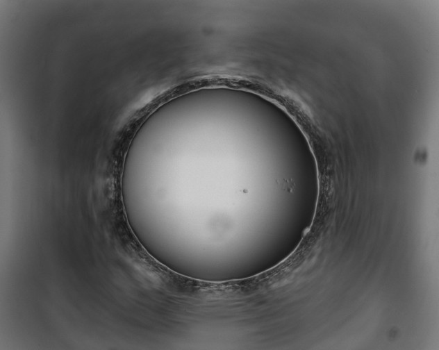 X0000101401159200807141150