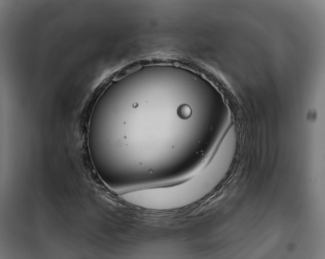 X0000101401160200807141150