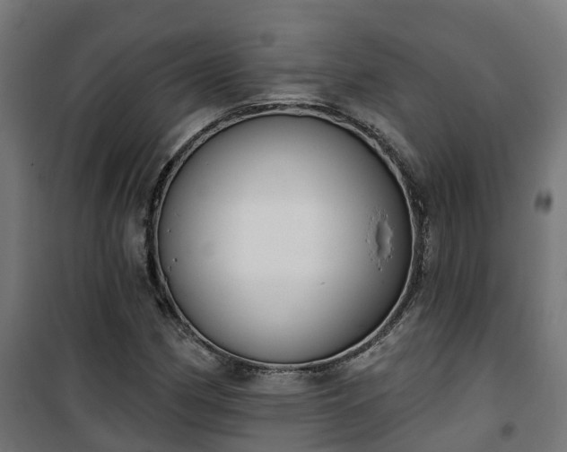 X0000101401162200807141150