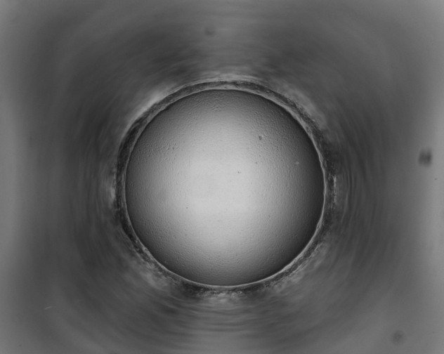 X0000101401165200807141150