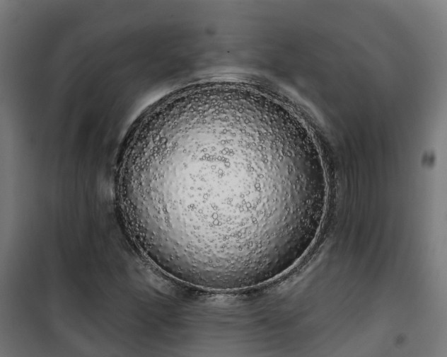 X0000101401166200807141150