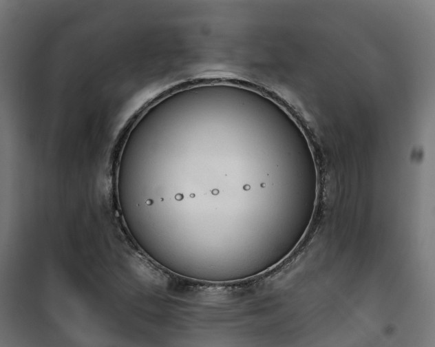 X0000101401167200807141150