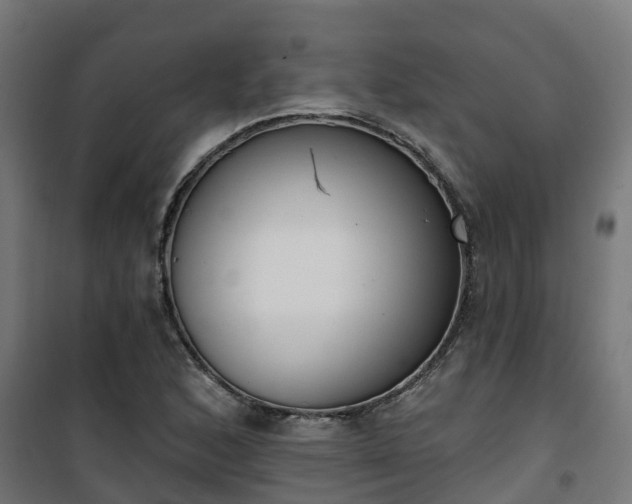 X0000101401168200807141150