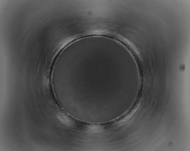 X0000101401170200807141150