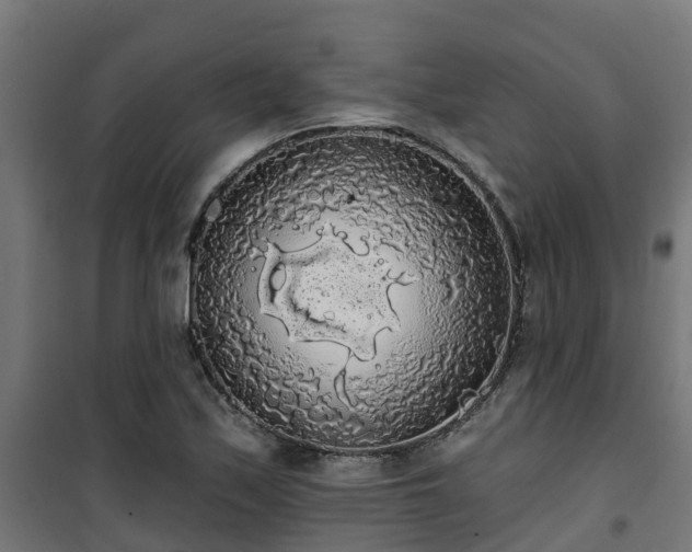 X0000101401171200807141150