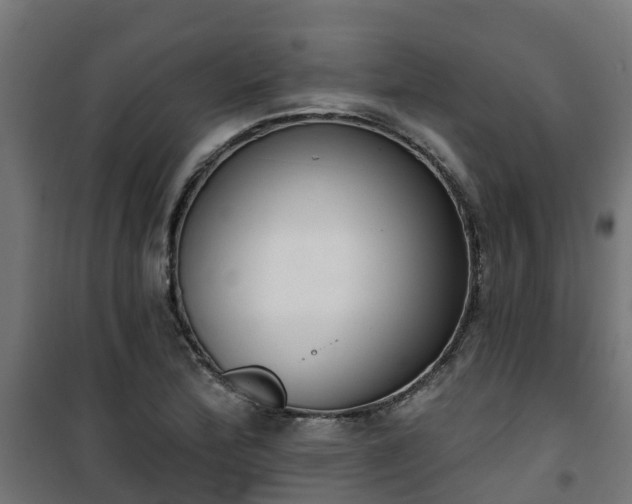 X0000101401172200807141150