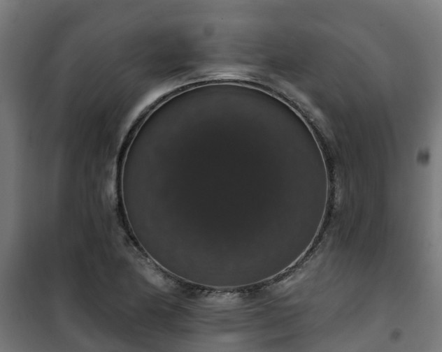 X0000101401174200807141150