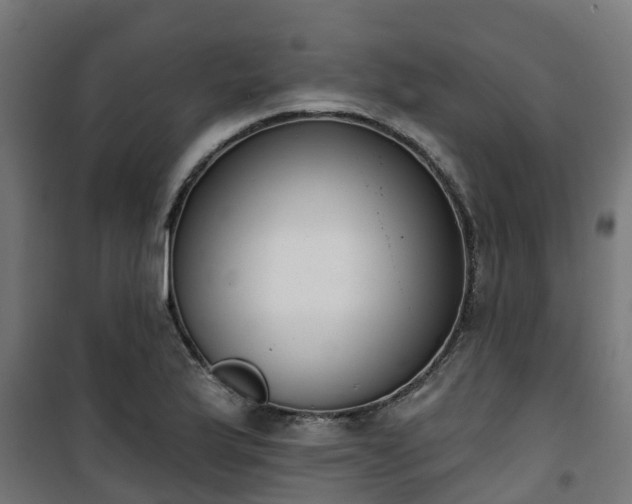 X0000101401175200807141150