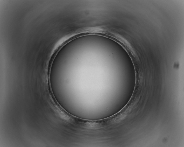 X0000101401176200807141149