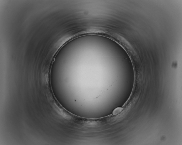 X0000101401177200807141149