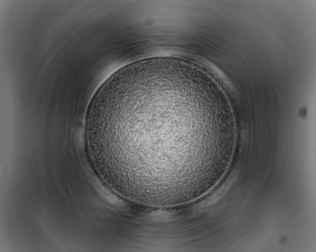 X0000101401178200807141149