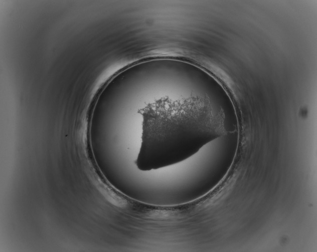 X0000101401179200807141149