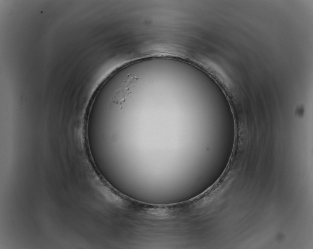 X0000101401182200807141149