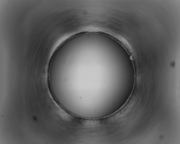 X0000101401183200807141149