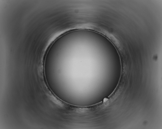 X0000101401184200807141149