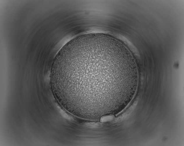 X0000101401185200807141149