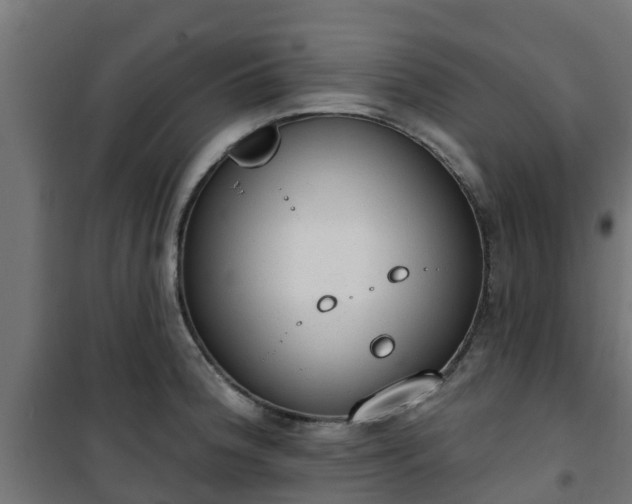 X0000101401188200807141149