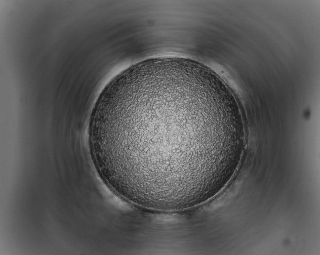 X0000101401189200807141149