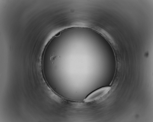 X0000101401192200807141149