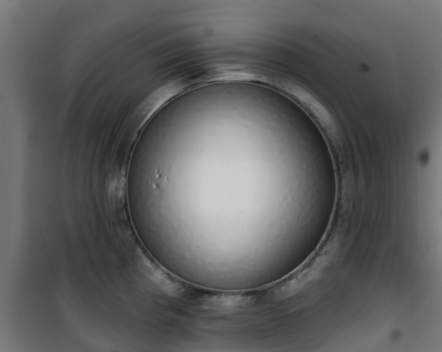 X0000101401193200807141149