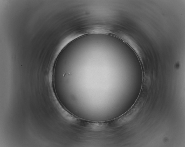 X0000101401195200807141149