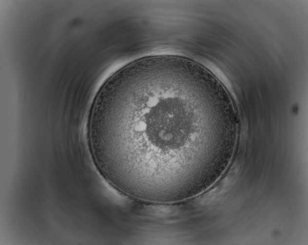 X0000101401197200807141149